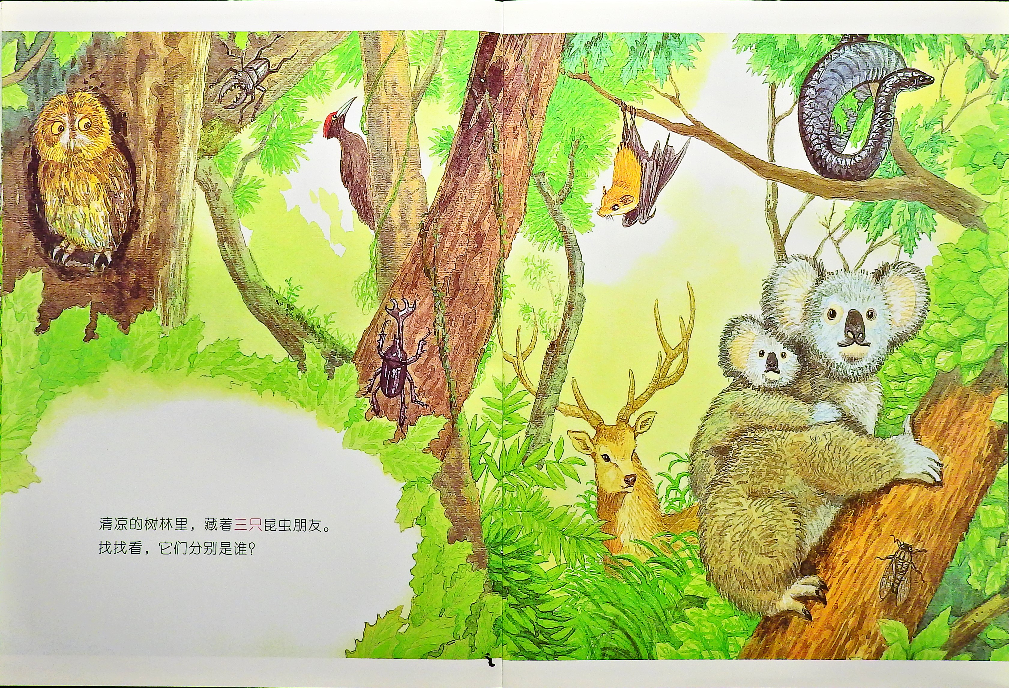 快来找我吧 (05),绘本,绘本故事,绘本阅读,故事书,童书,图画书,课外阅读
